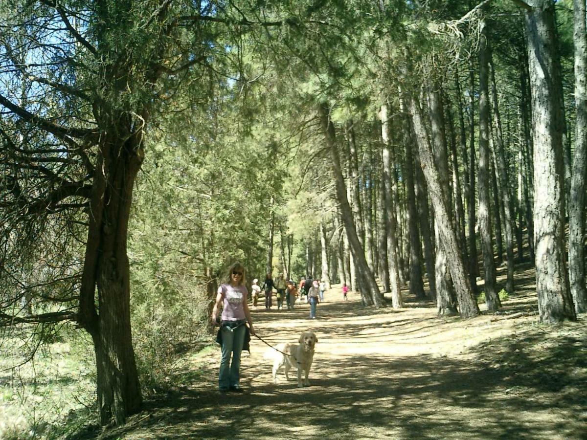 Casarejos Casa Rural Canon De Rio Lobos II المظهر الخارجي الصورة